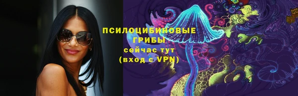 прущие грибы Гусев