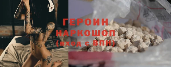 прущие грибы Гусев