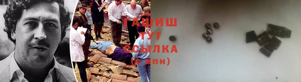прущие грибы Гусев