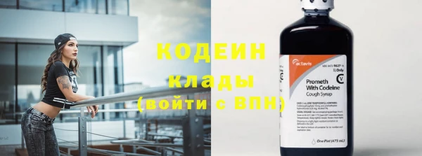 молекула духа Дмитров