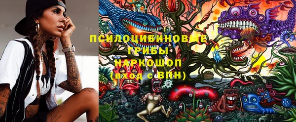 молекула духа Дмитров